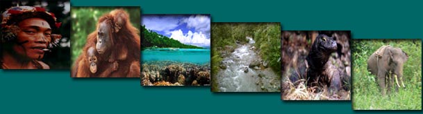 biodiversity